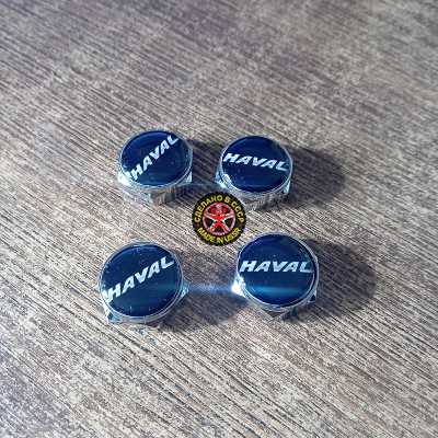 Болты номерного знака с логотипом Haval,Болты крепления гос номера с логотипом Haval,купить,заказать,доставка