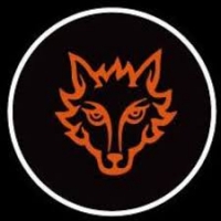 Проектор логотипа на мотоцикл FOX-ЛИС