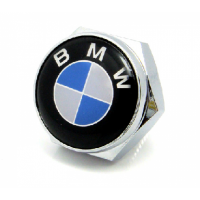 Болты крепления гос номера с логотипом BMW