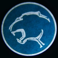 Проектор логотипа на мотоцикл Ford Cougar