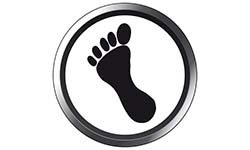Yeti