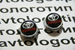 болты крепления гос номера toyota болты номерного знака с логотипом