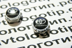 болты крепления гос номера toyota camry болты номерного знака с логотипом