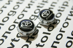 болты крепления гос номера toyota camry болты номерного знака с логотипом