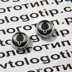 болты крепления гос номера с логотипом ssangyong болты номерного знака с логотипом