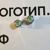 Колпачки на ниппель Skoda