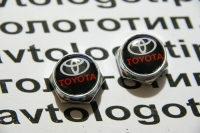 болты крепления гос номера toyota болты номерного знака с логотипом