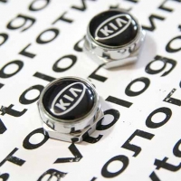 Болты крепления госномера с логотипом KIA