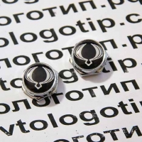 болты крепления гос номера с логотипом ssangyong болты номерного знака с логотипом