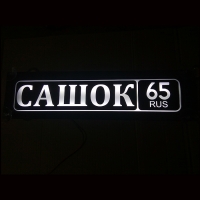 Светящаяся табличка Сашок